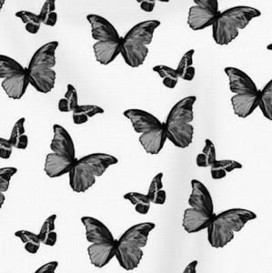 Meet your Posher, Katie perez